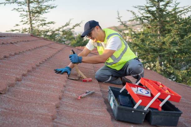 Roof Gutter Cleaning in Bonita, CA
